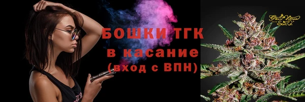 ПСИЛОЦИБИНОВЫЕ ГРИБЫ Зеленодольск