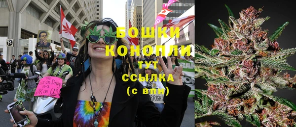 ПСИЛОЦИБИНОВЫЕ ГРИБЫ Зеленодольск
