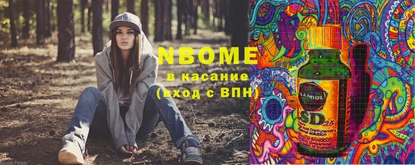 стаф Болотное