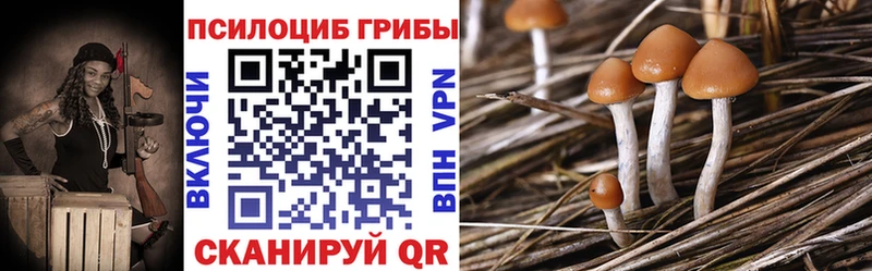 Псилоцибиновые грибы прущие грибы  blacksprut вход  Игарка 
